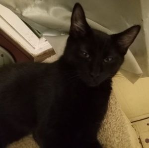 Meet your Posher, Jaden